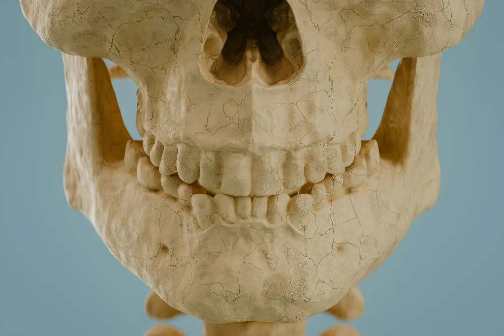 mâchoire traité par la kinésithérapie maxillo-faciale