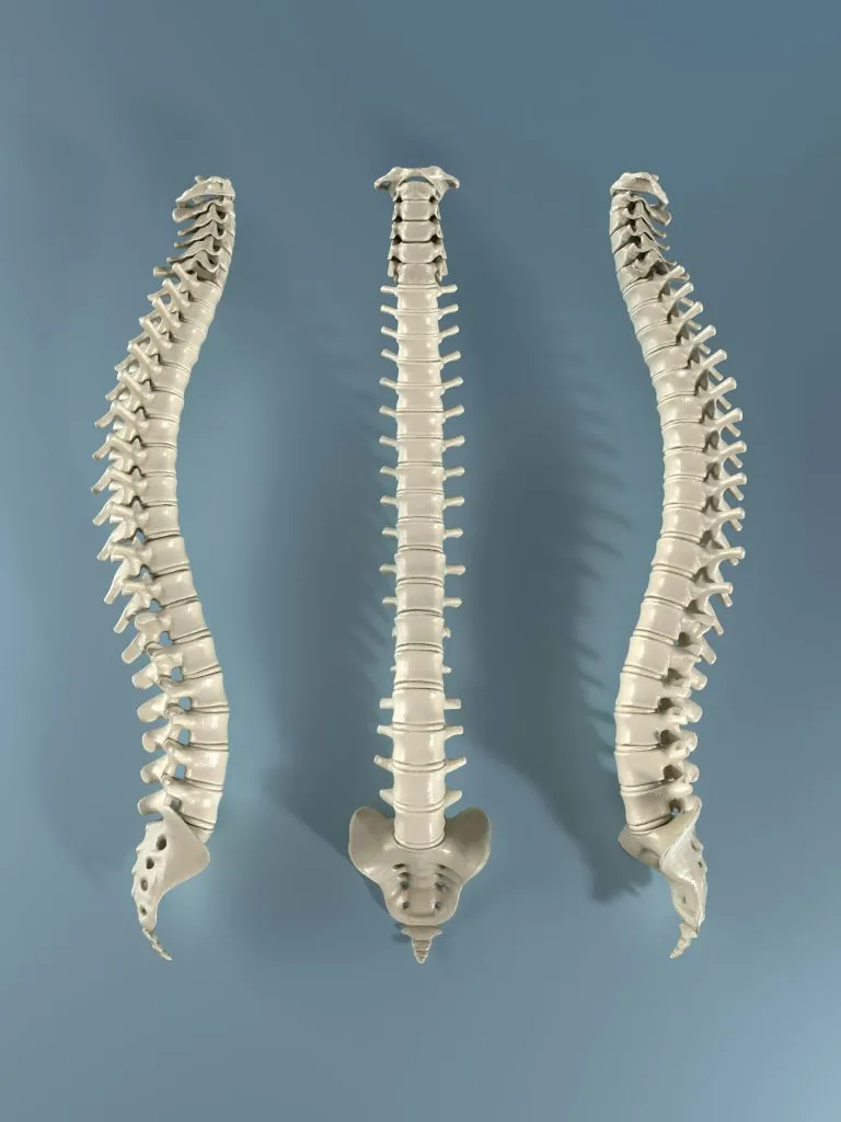 la Posture