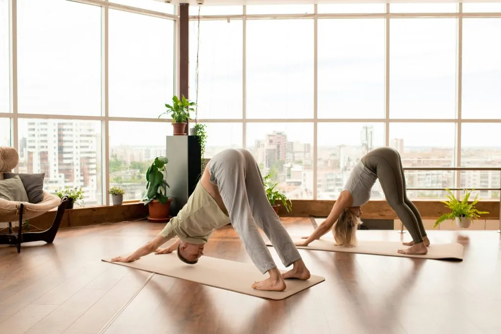 Guided rehabilitation exercise with a physiotherapist