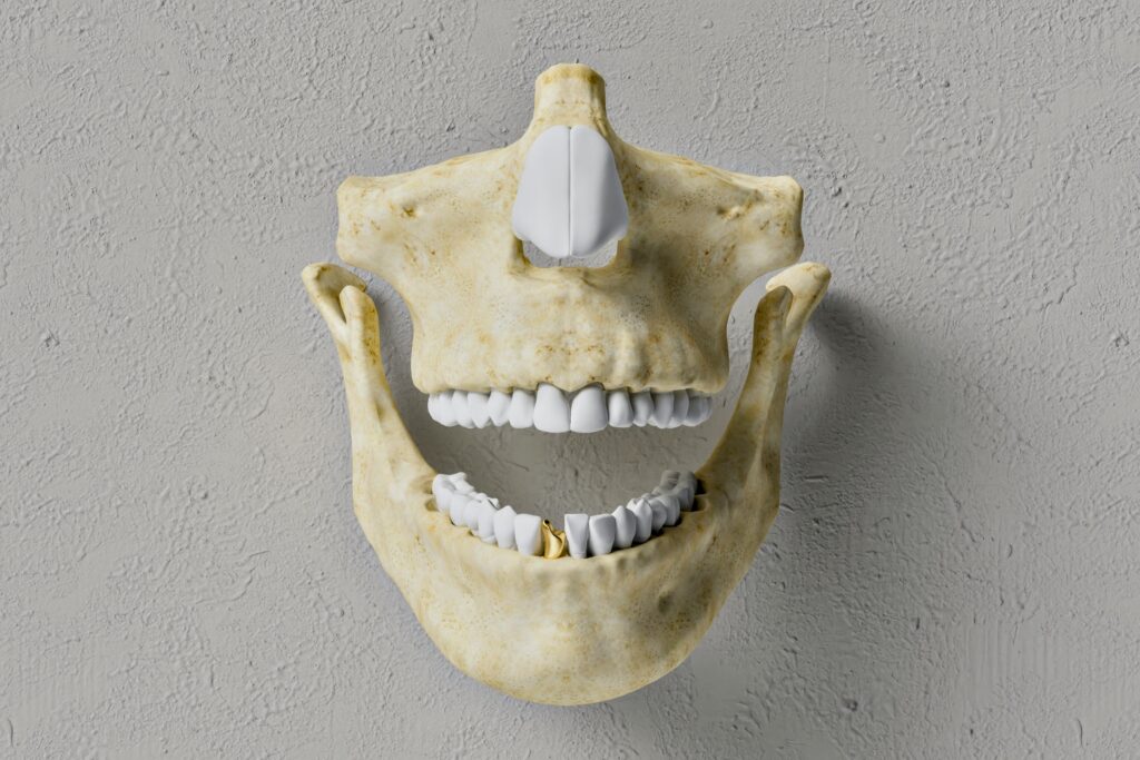 Maxillofacial physiotherapy: Definition, benefits and conditions treated
