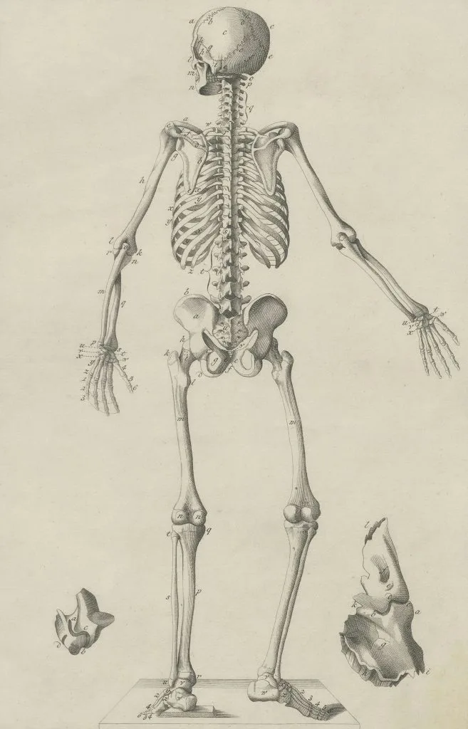 The 5 principles of osteopathy: understanding the basics.