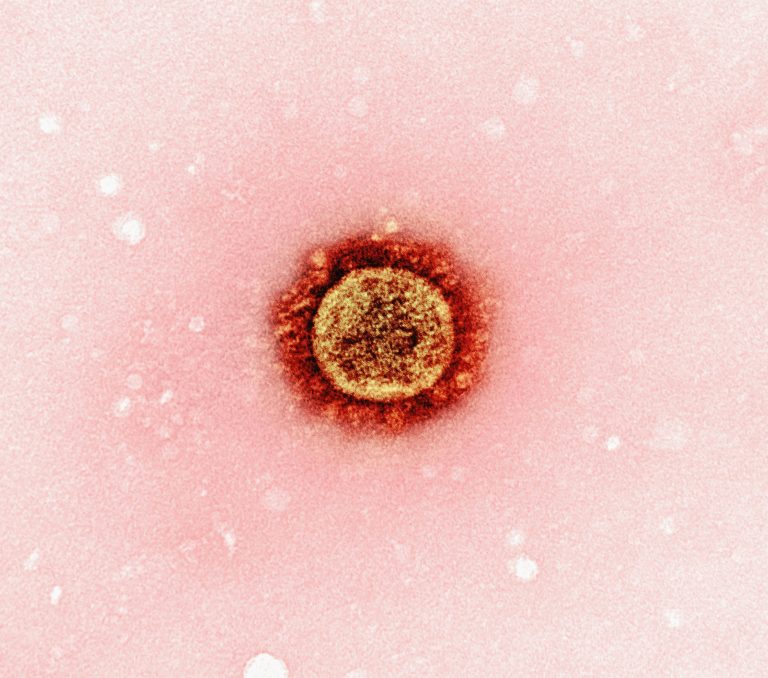 infection du zona